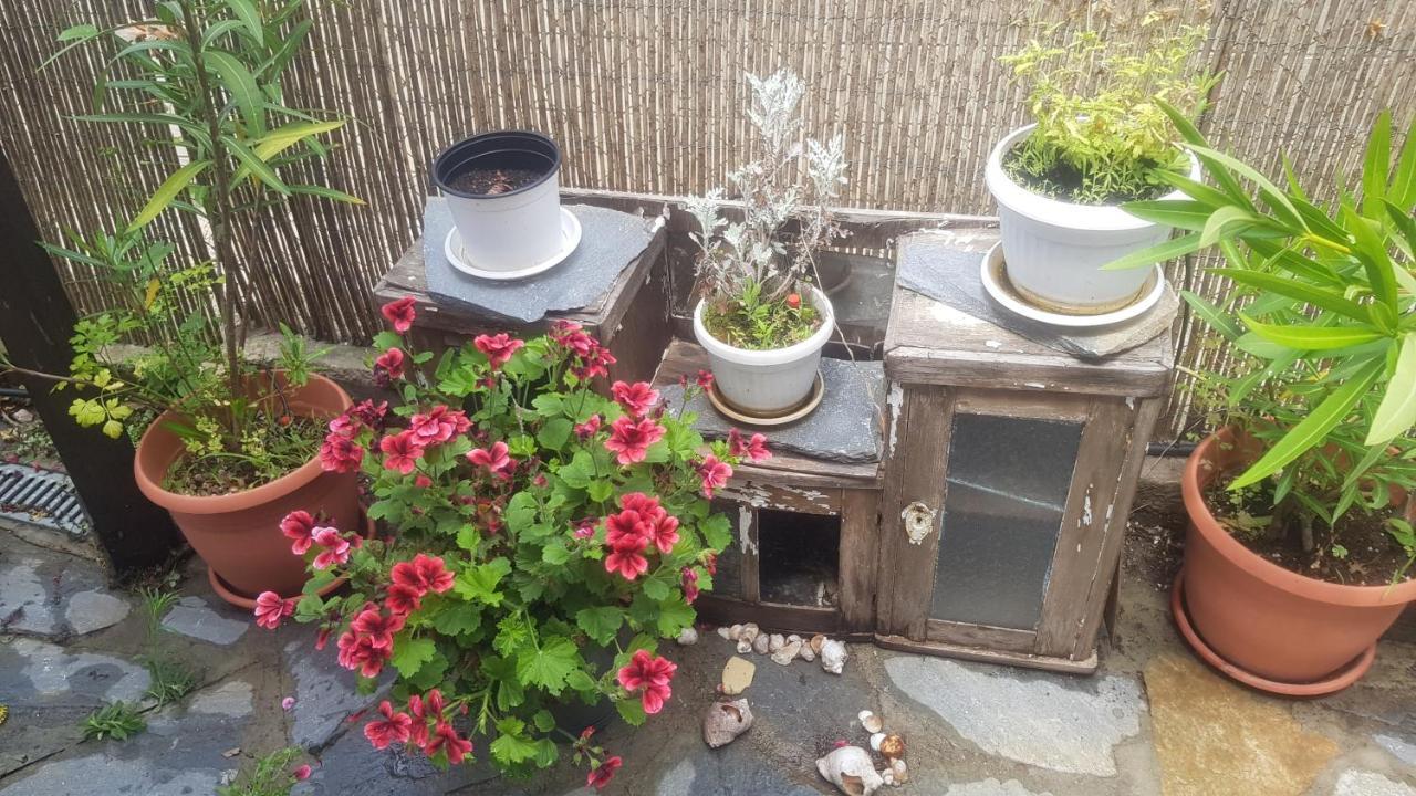 Guest House Antique Szozopol Kültér fotó